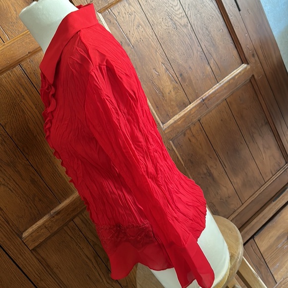 NWT⭐️Vintage ALLISON TAYLOR Ruffles and Lace Red V-Neck DressyTOP❤️Size Small - Picture 2 of 11